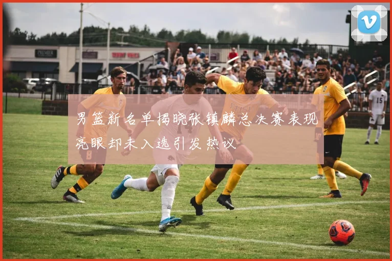 男篮新名单揭晓张镇麟总决赛表现亮眼却未入选引发热议