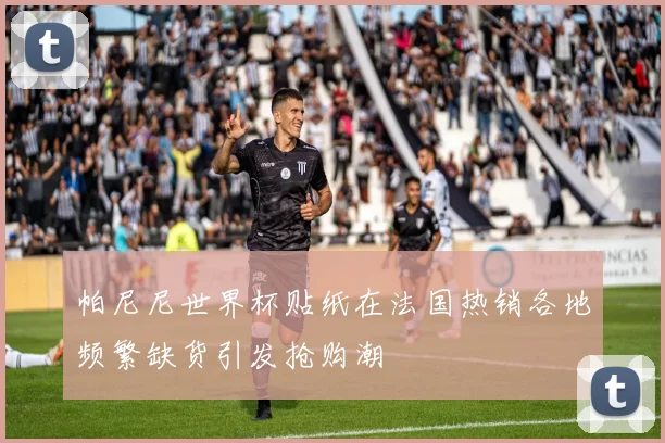帕尼尼世界杯贴纸在法国热销各地频繁缺货引发抢购潮