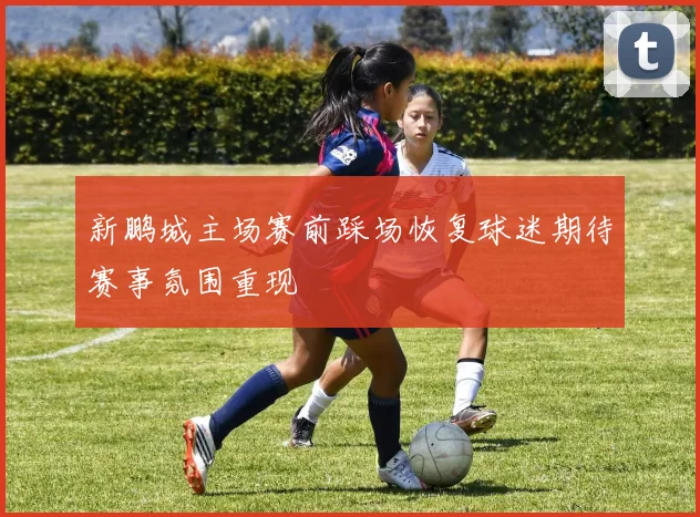 新鹏城主场赛前踩场恢复球迷期待赛事氛围重现